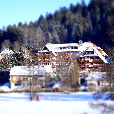 Erfurths Bergfried Ferien & Wellnesshotel Hinterzarten