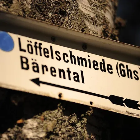 Erfurths Bergfried Ferien & Wellnesshotel Hotel Hinterzarten